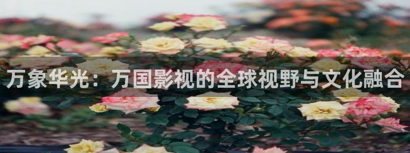 黑蚂蚁影视电视：万象华光：万国影视的全球视野与文化融合