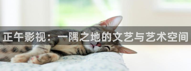蚂蚁影院黑蚂蚁影院：正午影视：一隅之地的文艺与艺术空间
