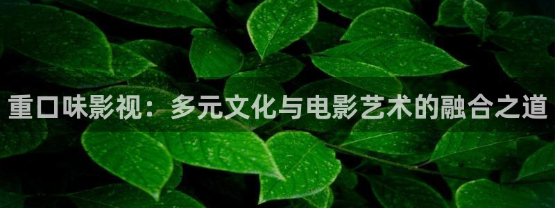 电视剧 黑蚂蚁：重口味影视：多元文化与电影艺术的融合之道