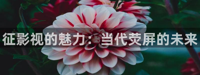 黑蚂蚁影业有限公司：征影视的魅力：当代荧屏的未来