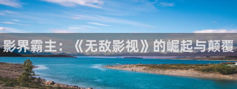 黑蚂蚁电影电视：影界霸主：《无敌影视》的崛起与颠覆