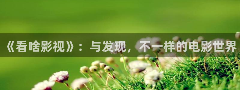 黑蚂蚁影院免费大全：《看啥影视》：与发现，不一样的电影世界