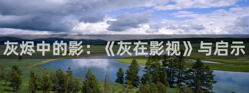 黑蚂蚁影视官网：灰烬中的影：《灰在影视》与启示