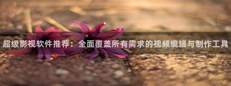 黑蚂蚁电影：超级影视软件推荐：全面覆盖所有需求的视频编辑与制作工具