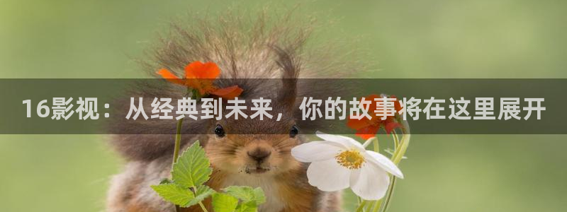 黑蚂蚁影院首页：16影视：从经典到未来，你的故事将在这里展开